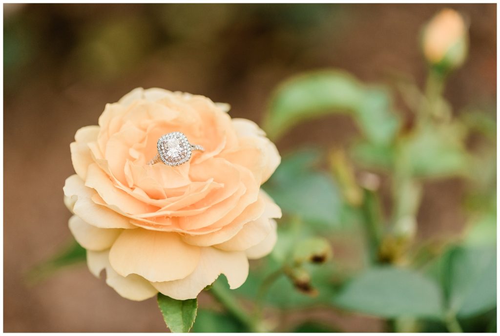 A diamond engagement ring sits on a peach colored rose.