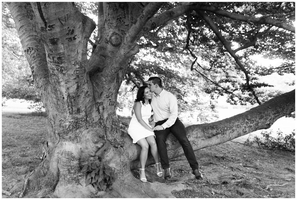A couple sits on a tree branch together in brookdale park.