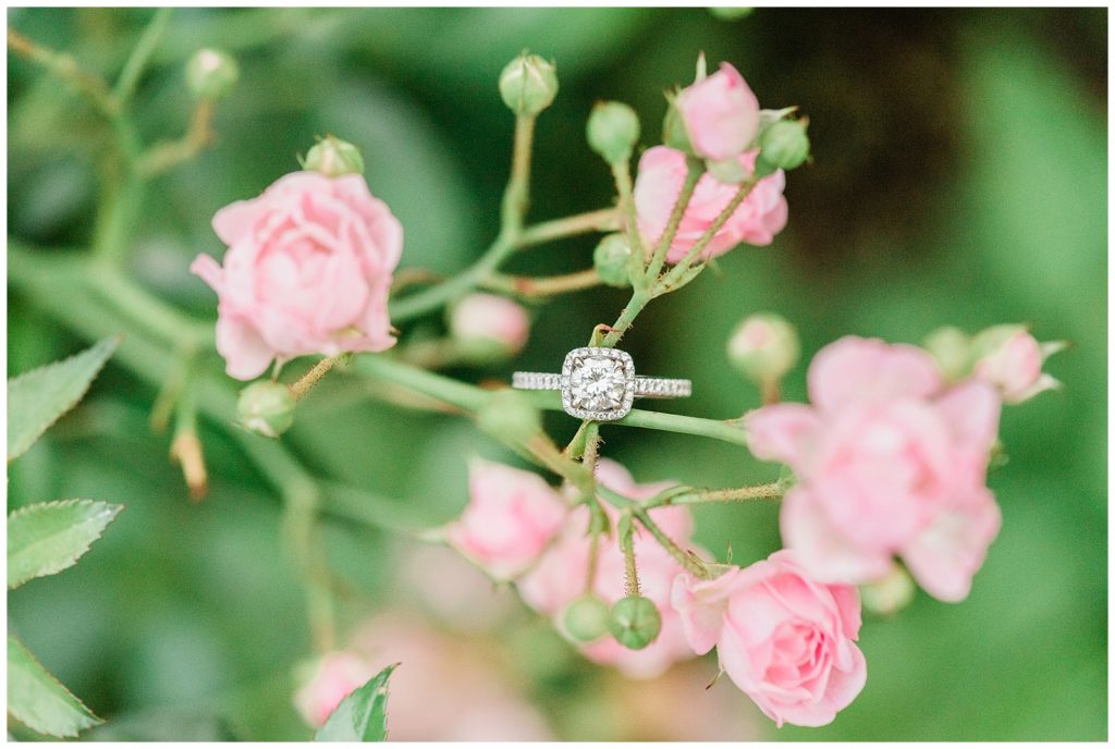 A diamond engagement ring sits on a blooming branch of flowers.