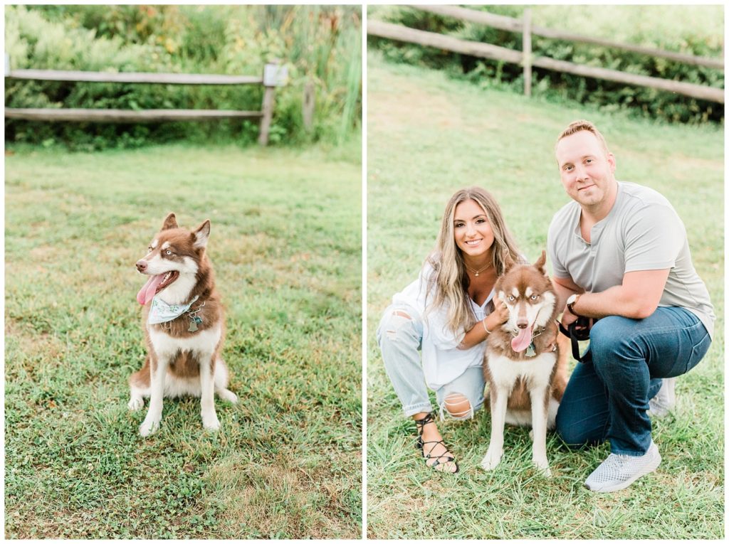 A split image. The left image is of their dog, a white and brown dog with huskie features. A grass field is behind him with a wooden fence. In the right side, Nicolette and Mike are crouched down on either side of their canine pal.