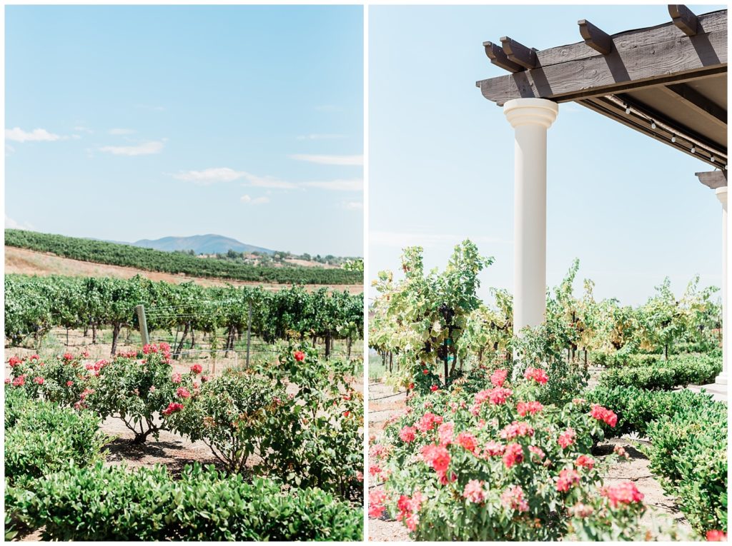 Landscape views on the property of Temecula wedding venue, Avensole Winery in Southern California.
