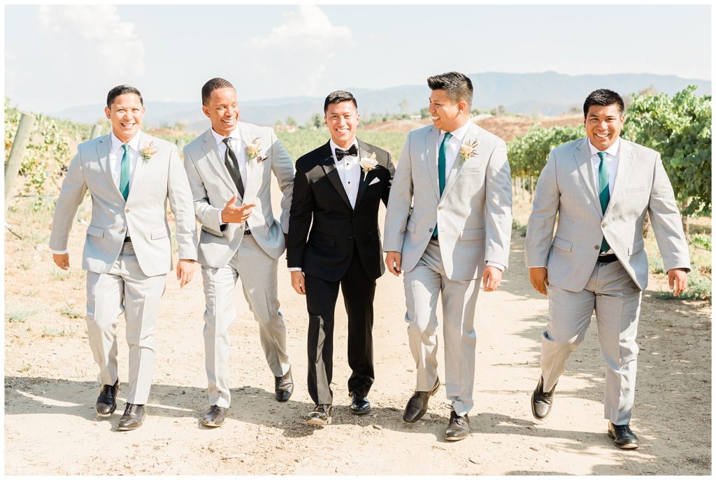 A groom in a black suit and groomsmen in light grey suits walk through the vineyards together at Avensole Winery wedding venue in Temecula, California.