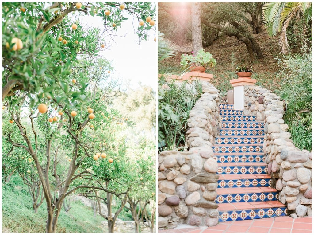 Orange grove trees and blue tile stairs with a stone banister ascend at Rancho Las Lomas wedding venue in SoCal.