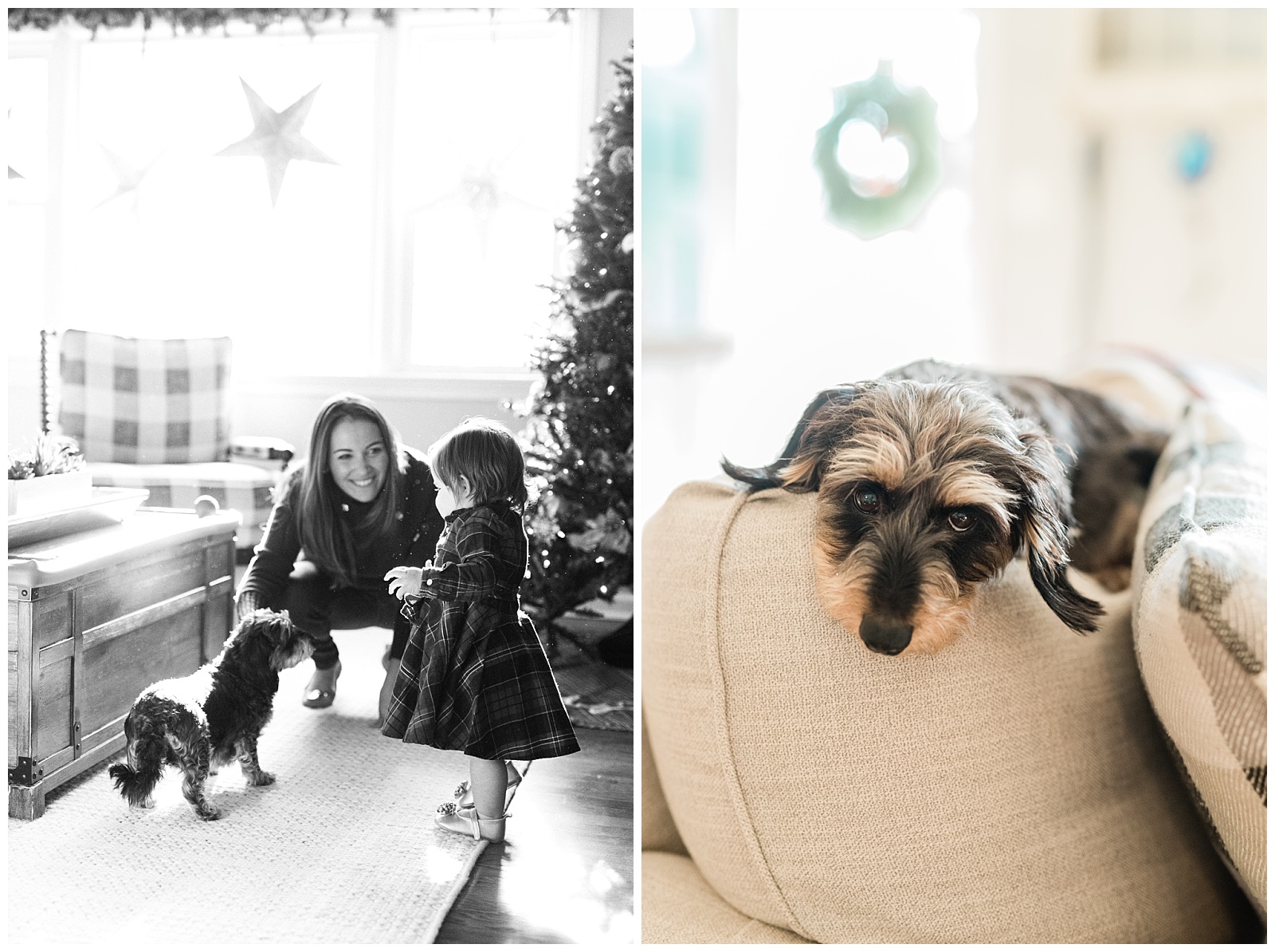 in-home-family-holiday-session-winter-christmas-cozy-photographer-nj-new-jersey-photo_0012.jpg