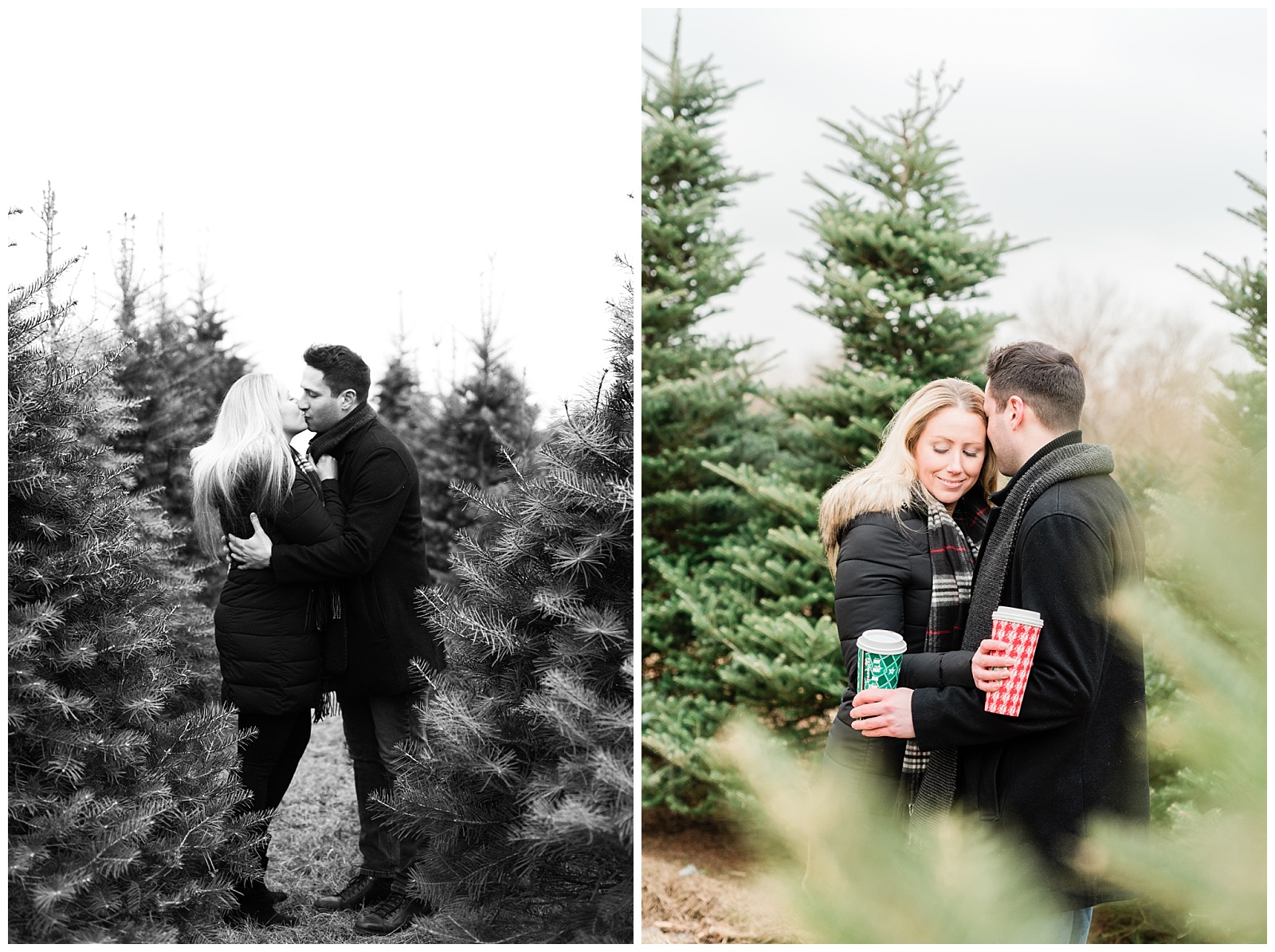 Engagement Session,NJ,New Jersey,Perfect Christmas Tree Farm,Tree Farm,Wedding photographer,Winter,