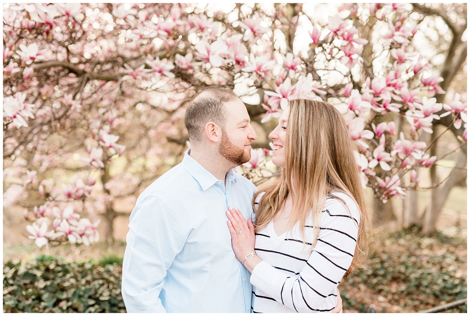 Central Park, NYC engagement session, springtime, wedding photographer, New York, blooms, pink tree