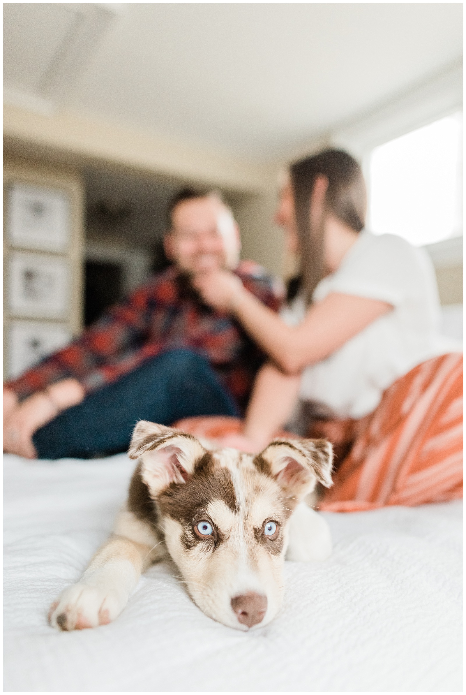 In home photo session, new puppy, casual, weekend, new jersey lifestyle, natural light photographer, fur baby, bed, sunday