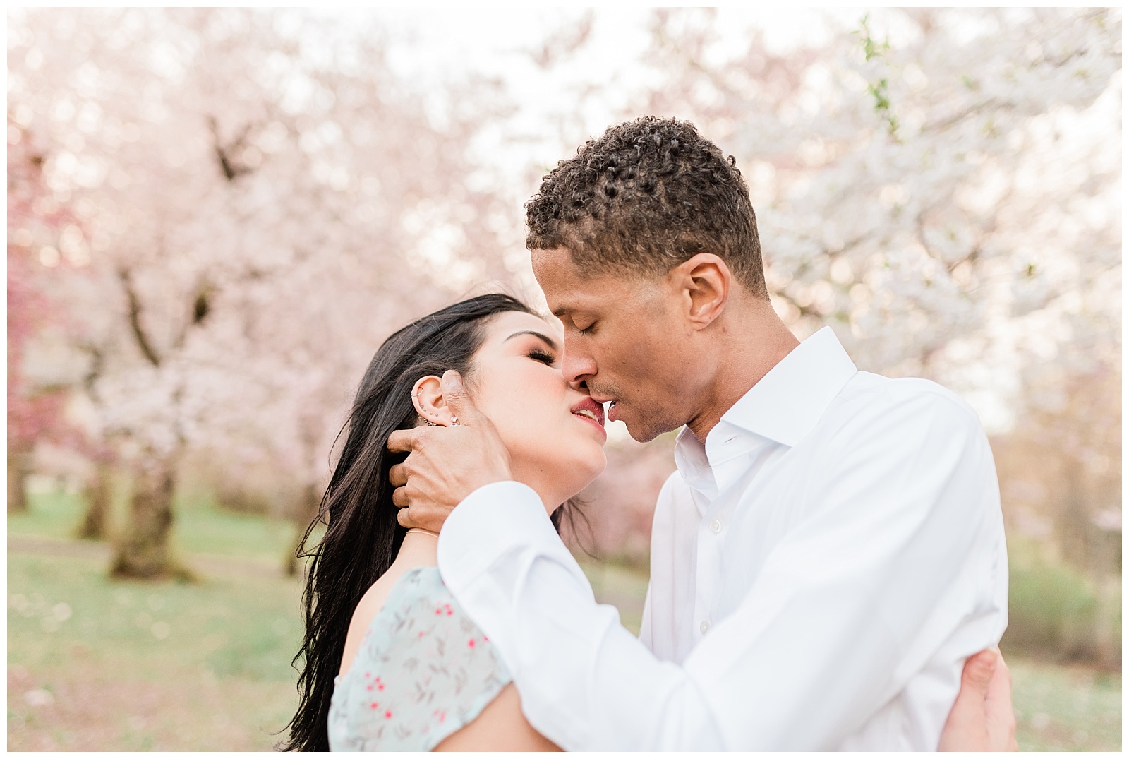 A man pulls his fiance in for a kiss under the cherry blossom trees.
