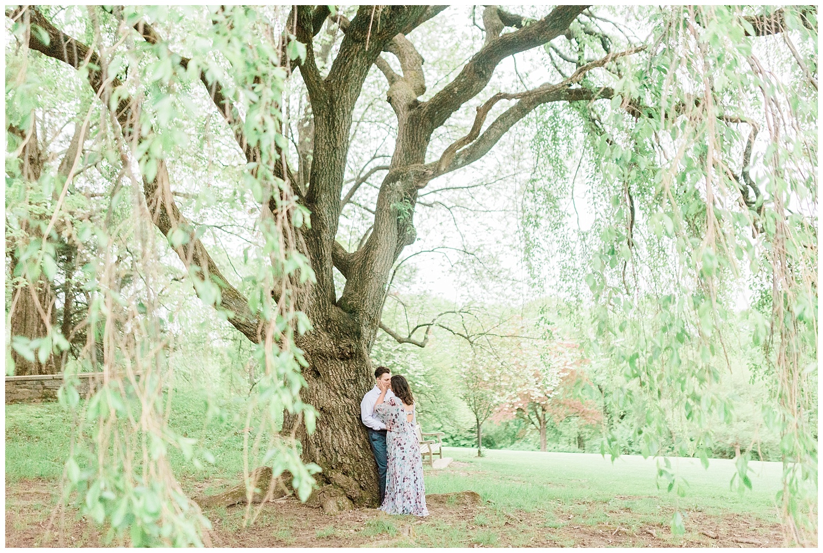 A couple kisses beneath a willow tree.