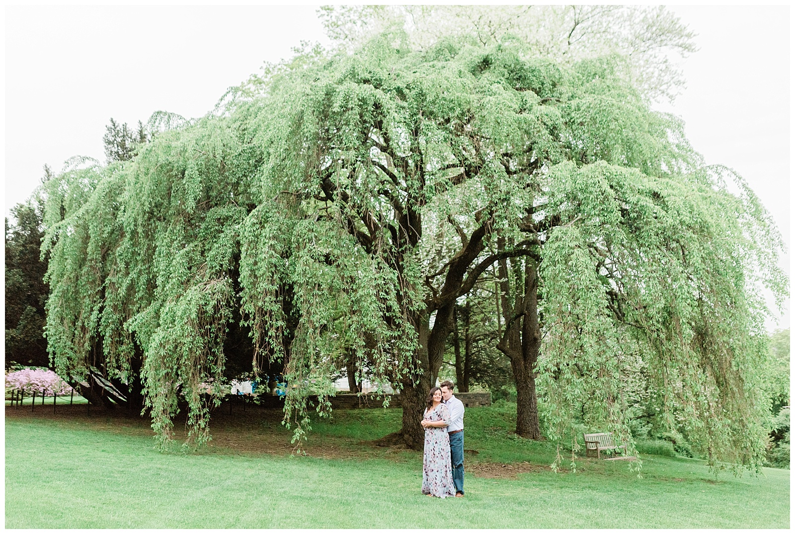 A couple poses for a photo in front of a massive willow tree.