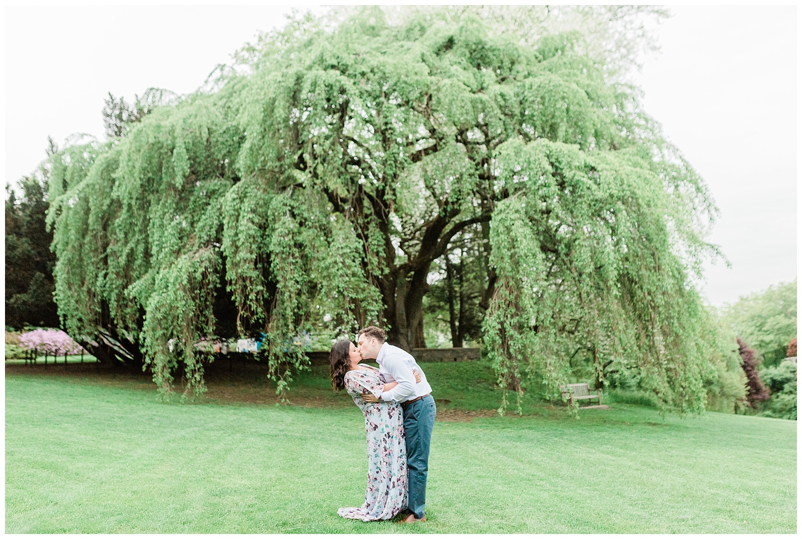 A couple kisses in front of a large willow tree.