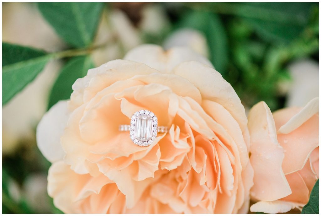A unique diamond engagement ring sits on a peach colored rose.