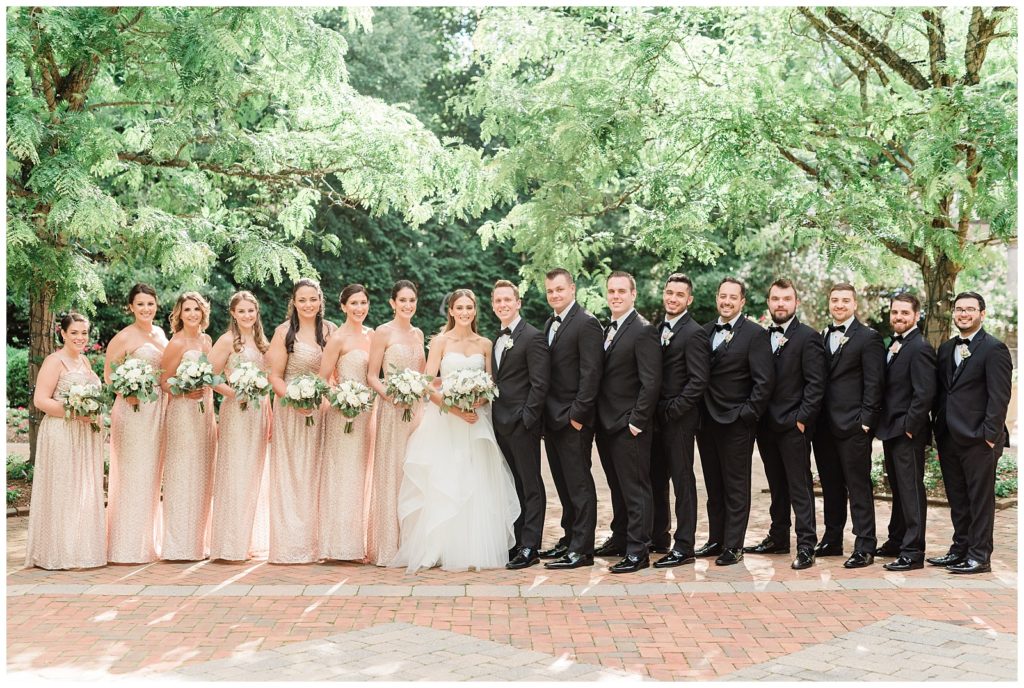 The bride and groom stand with their bridesmaids and groomsmen.