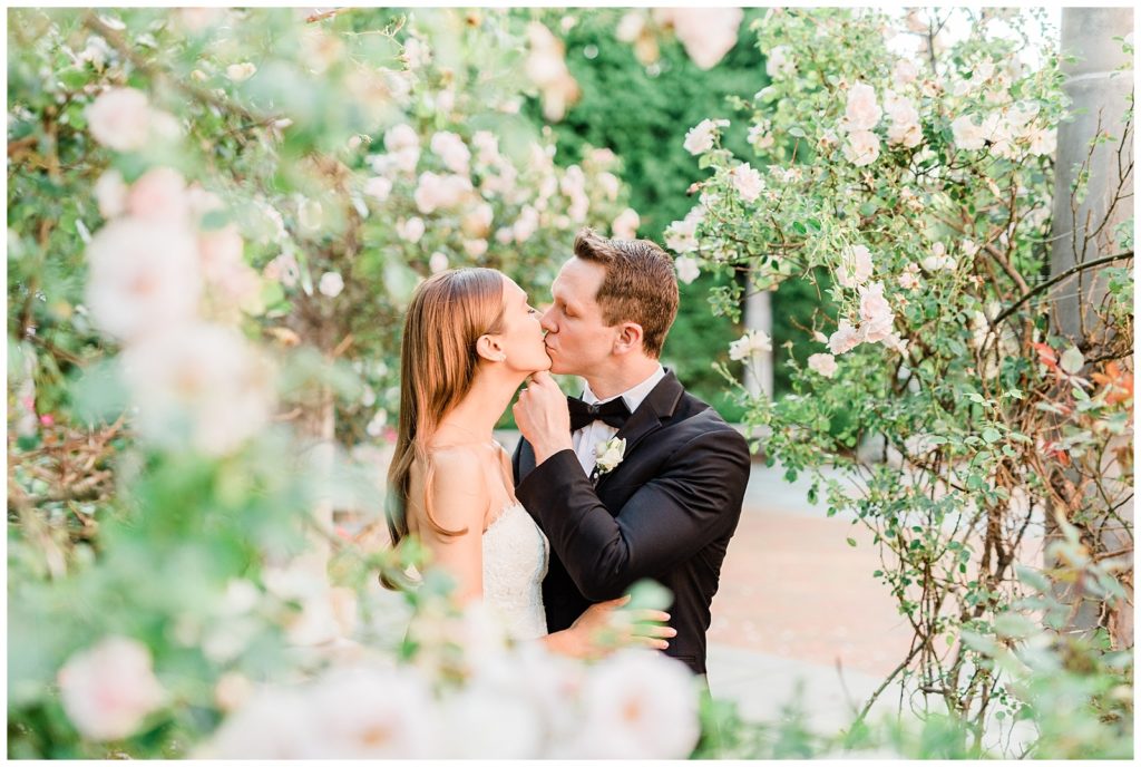 A bride and groom kiss amongst blooming pink roses in the courtyard at Florentine Gardens.