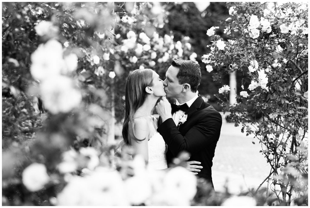 A groom kisses his bride in the rose garden at Florentine Gardens in NJ.