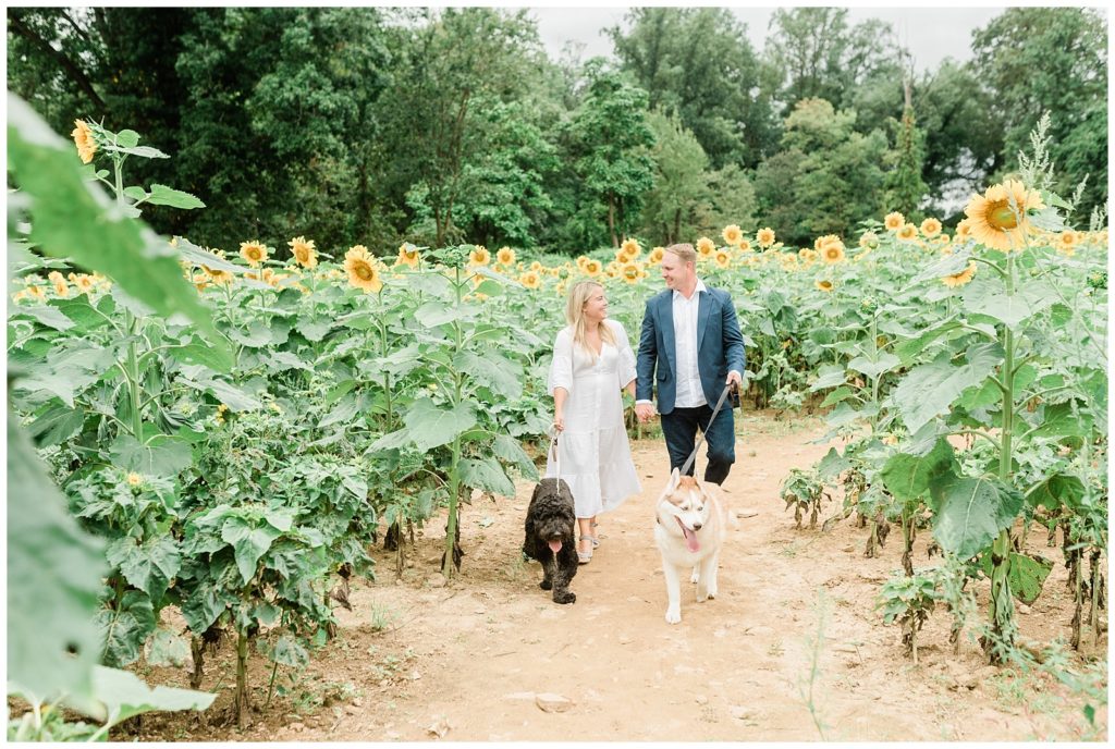 Rachel and Brian walk down a dirt path with sunflowers about their height surround them on either side. Their two dogs are walking in front of them looking ahead, while Rachel and Brian look towards each other.  