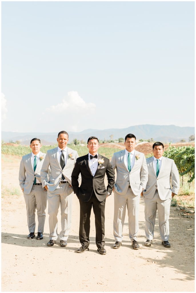 A groom and groomsmen pose for a photo in the vineyard at Avensole Winery wedding venue in Temecula, Southern California.