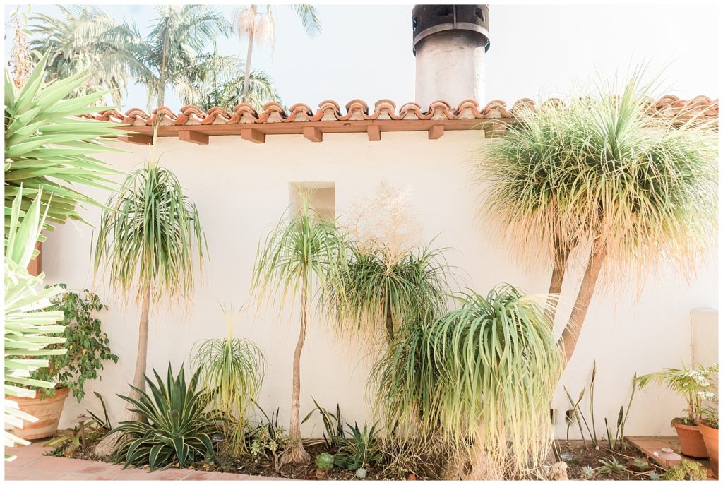 Palm trees and gardens at Casa Romantica wedding venue in SoCal.