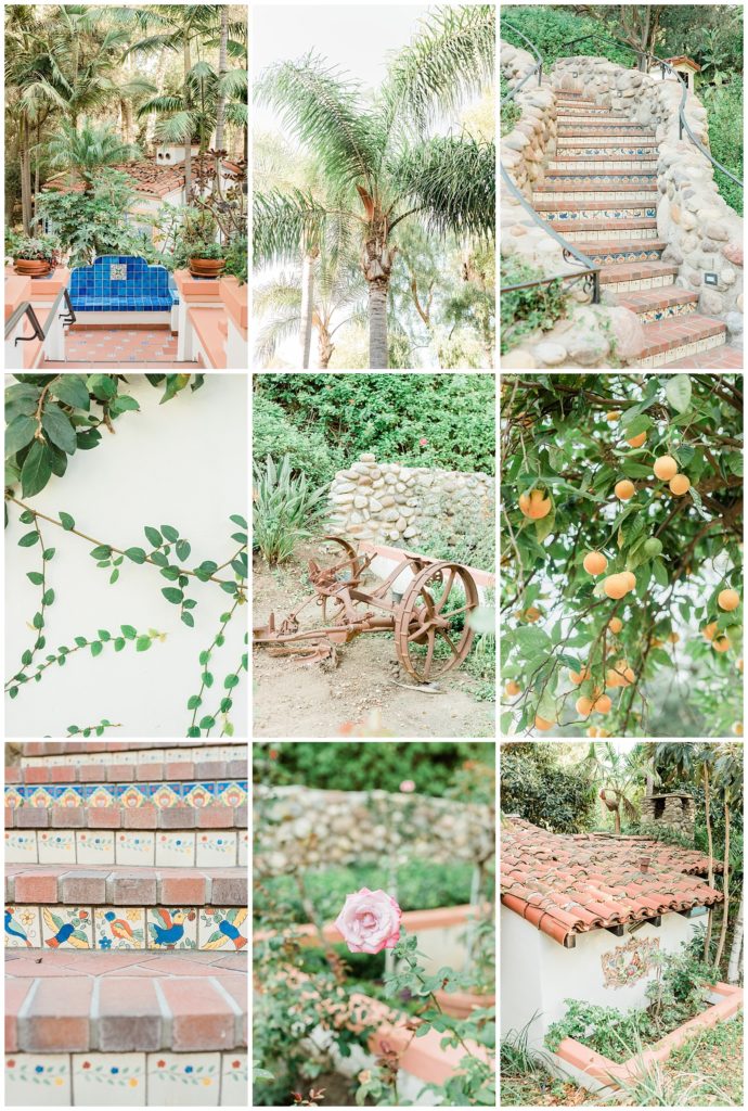 Details including oranges growing on trees, vines on the side of a white stucco building, a vibrant blue tile bench, tile stair cases and garden roses on the property of Rancho Las Lomas captured by Orange County Wedding Photographer.